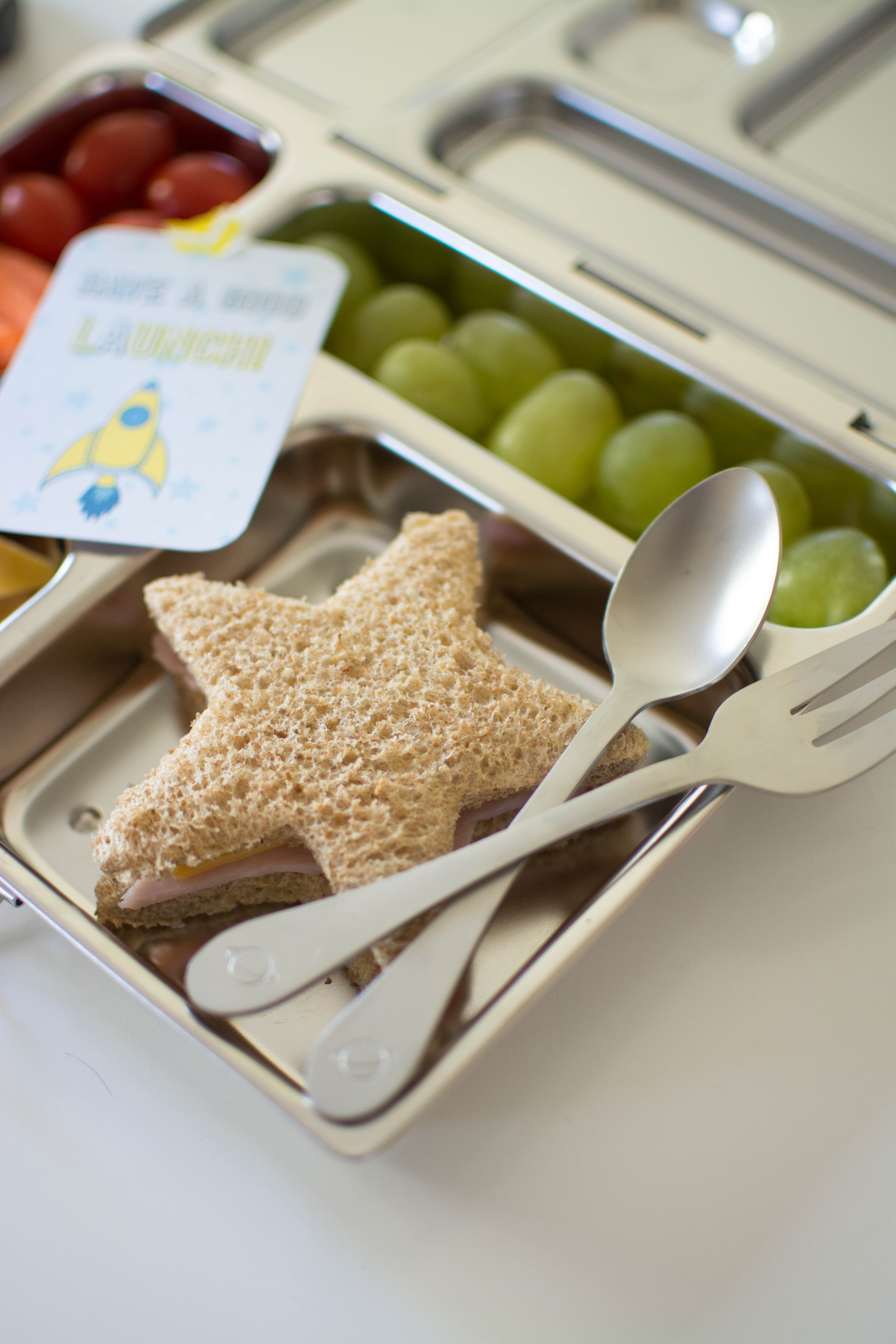 PlanetBox is the eco-friendly lunchbox for kids or adults - The Gadgeteer