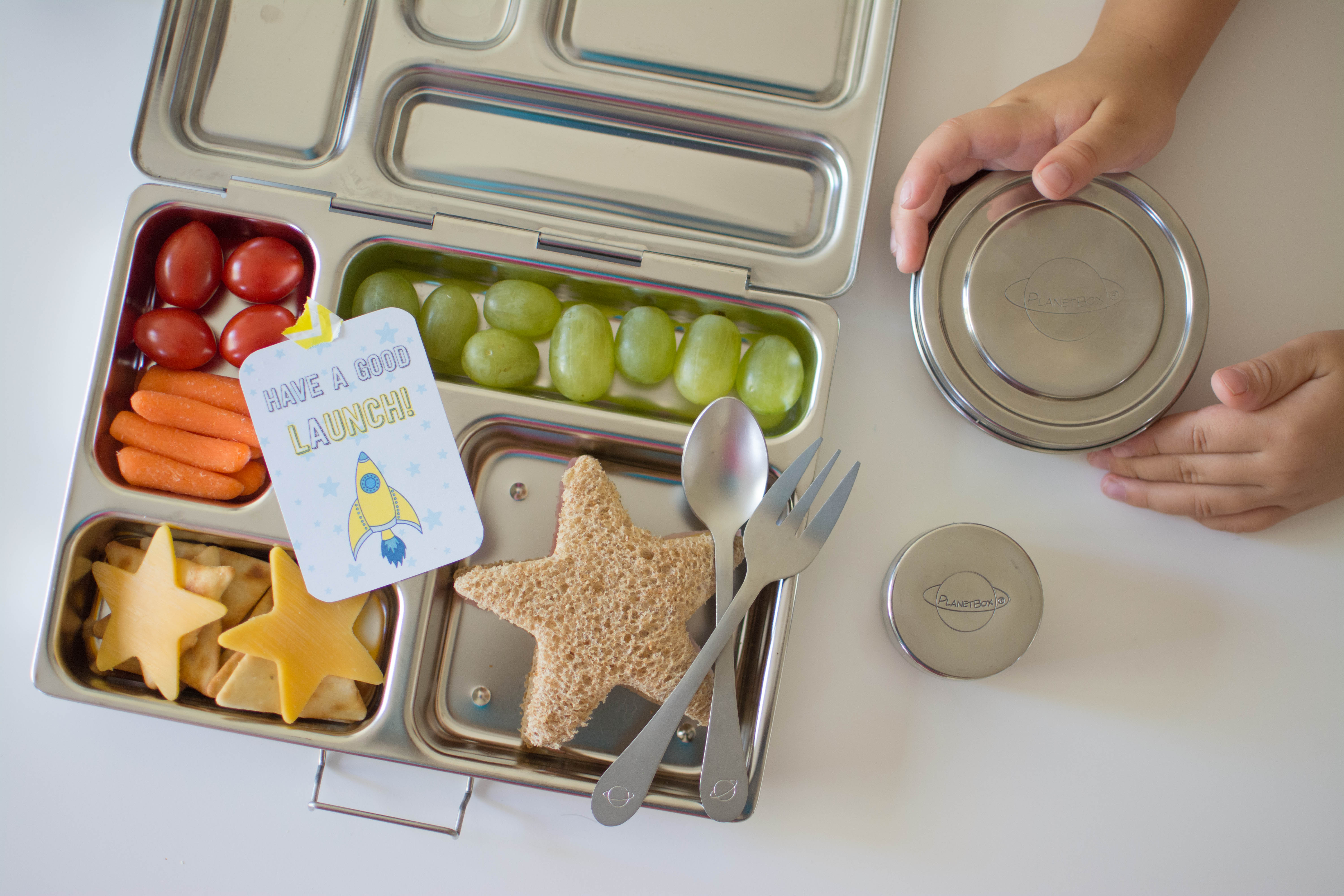 Which PLANETBOX Lunch Box/BAG is right for you?