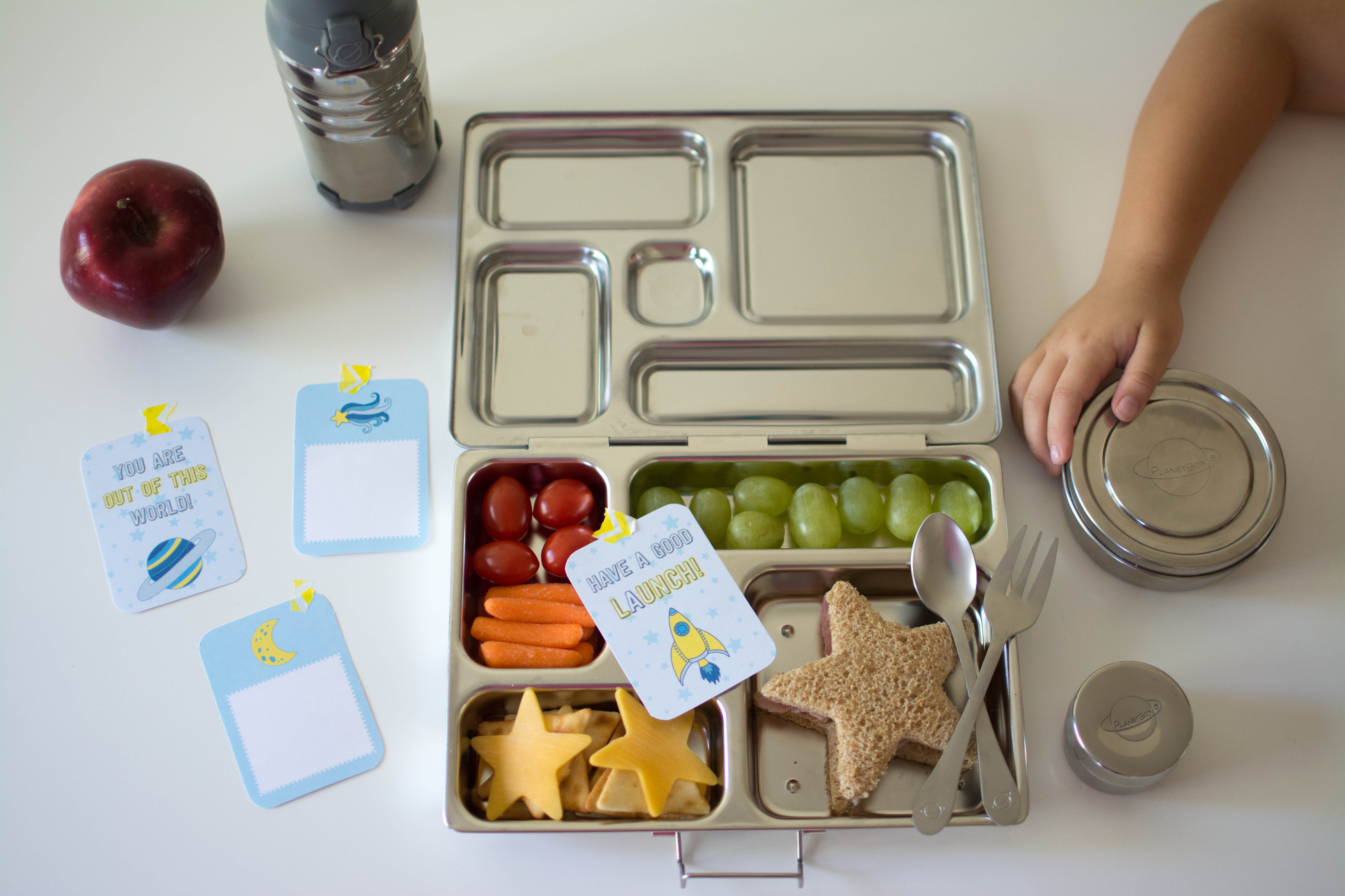 6 Best Lunch Boxes For Kids (Planet-Friendly and Kid-Friendly)