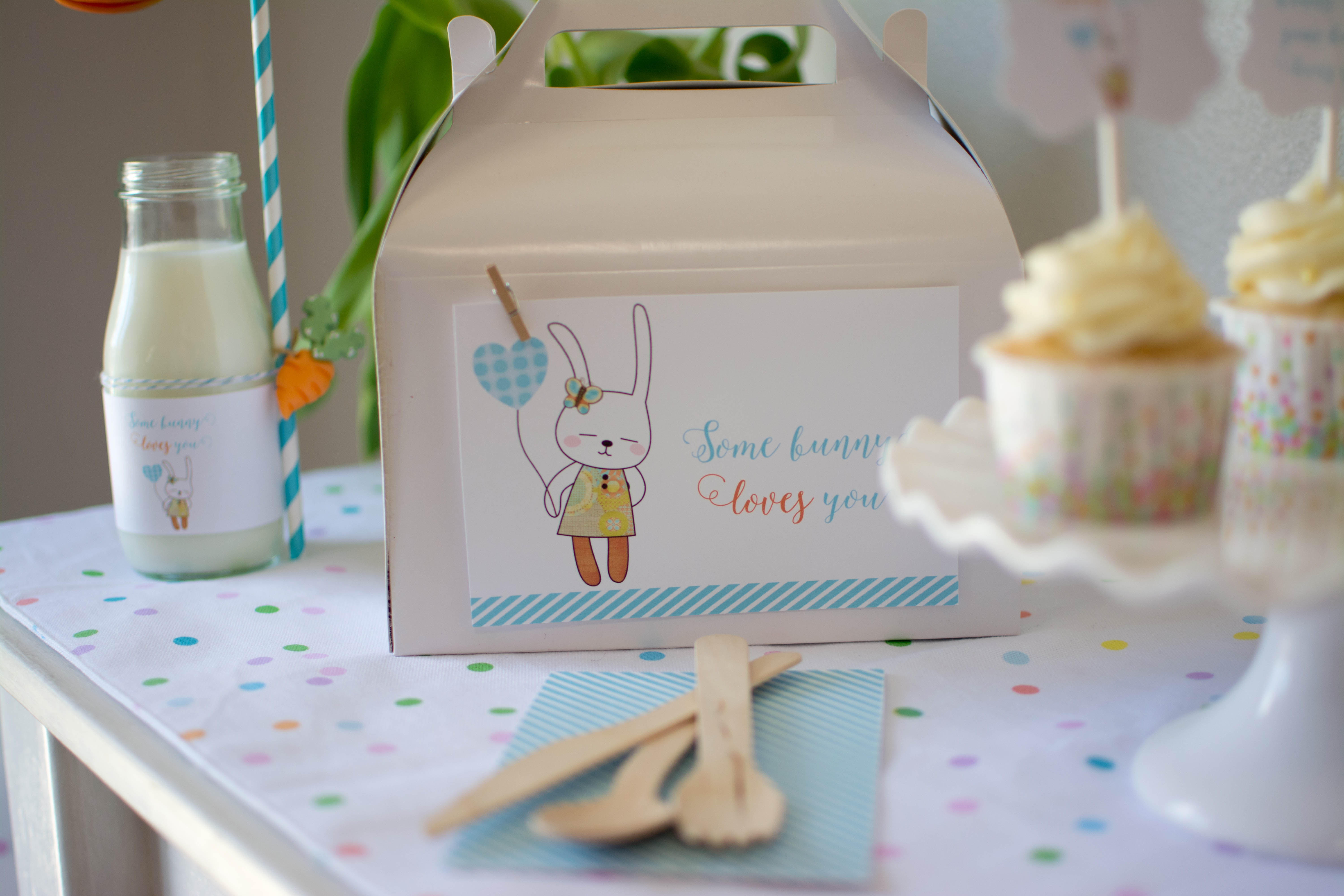 Peter Rabbit Baby Shower Party Signs - Somebunny Is On His Way