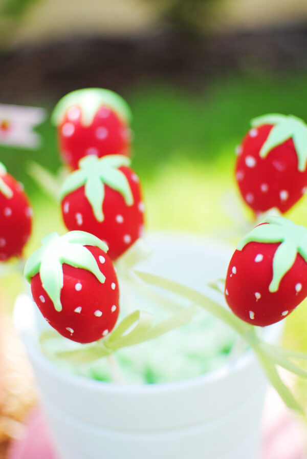 Strawberry Party Ideas - TWINKLE TWINKLE LITTLE PARTY