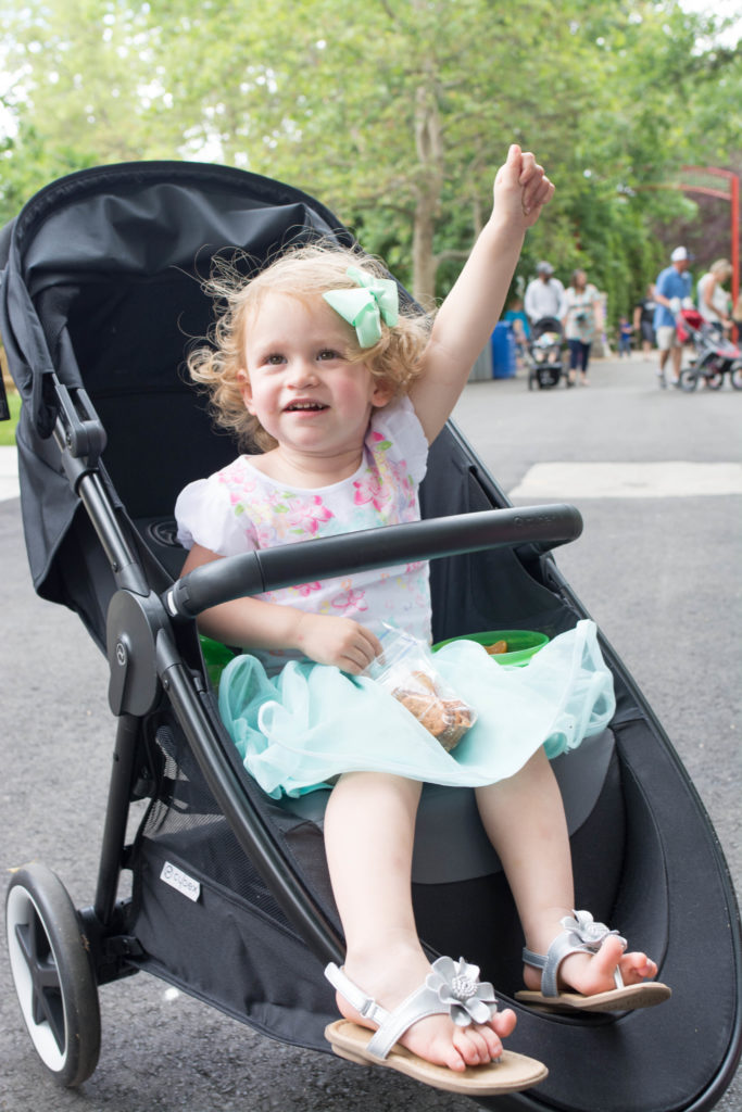 Summer Fun – Exploring the Zoo with CYBEX
