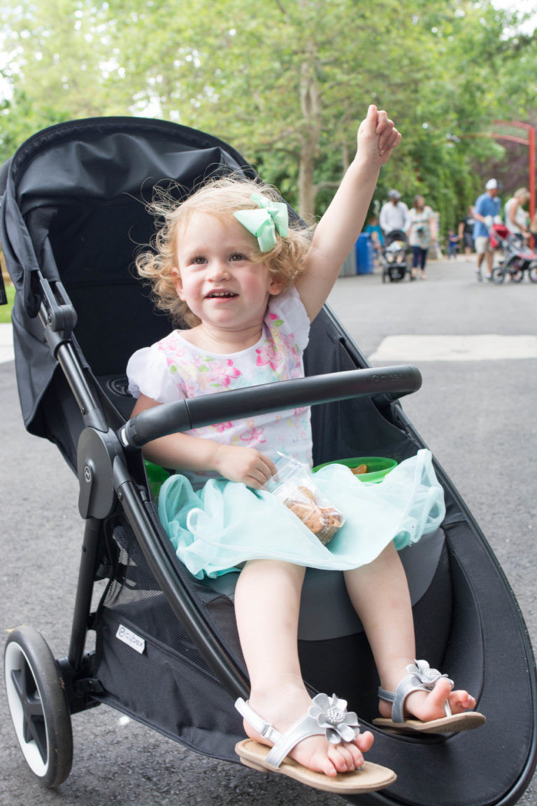 Summer Fun &ndash; Exploring the Zoo with CYBEX