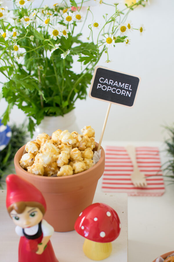 A Garden Themed Sherlock Gnomes Party + Free Printables