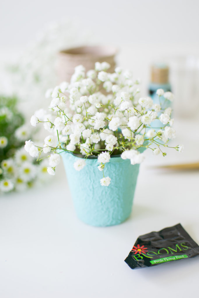 DIY Mini Flower Pots