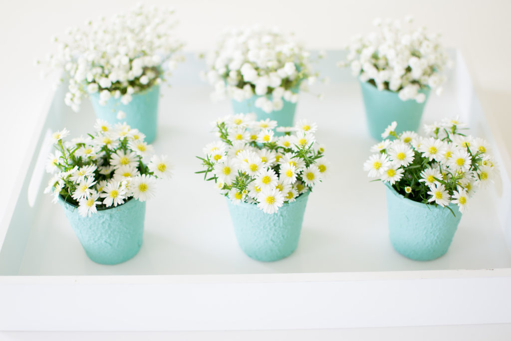 DIY Mini Flower Pots