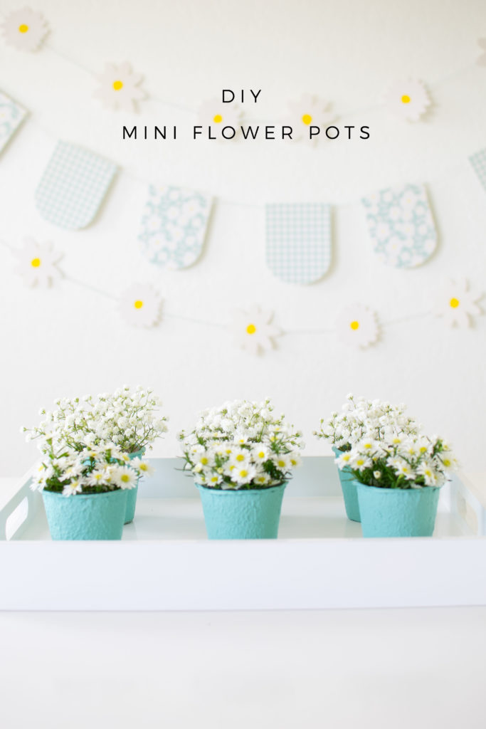 DIY Mini Flower Pots