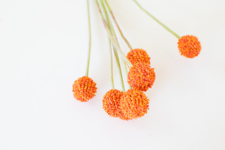 DIY Citrus Cupcake Toppers for a summer baby shower