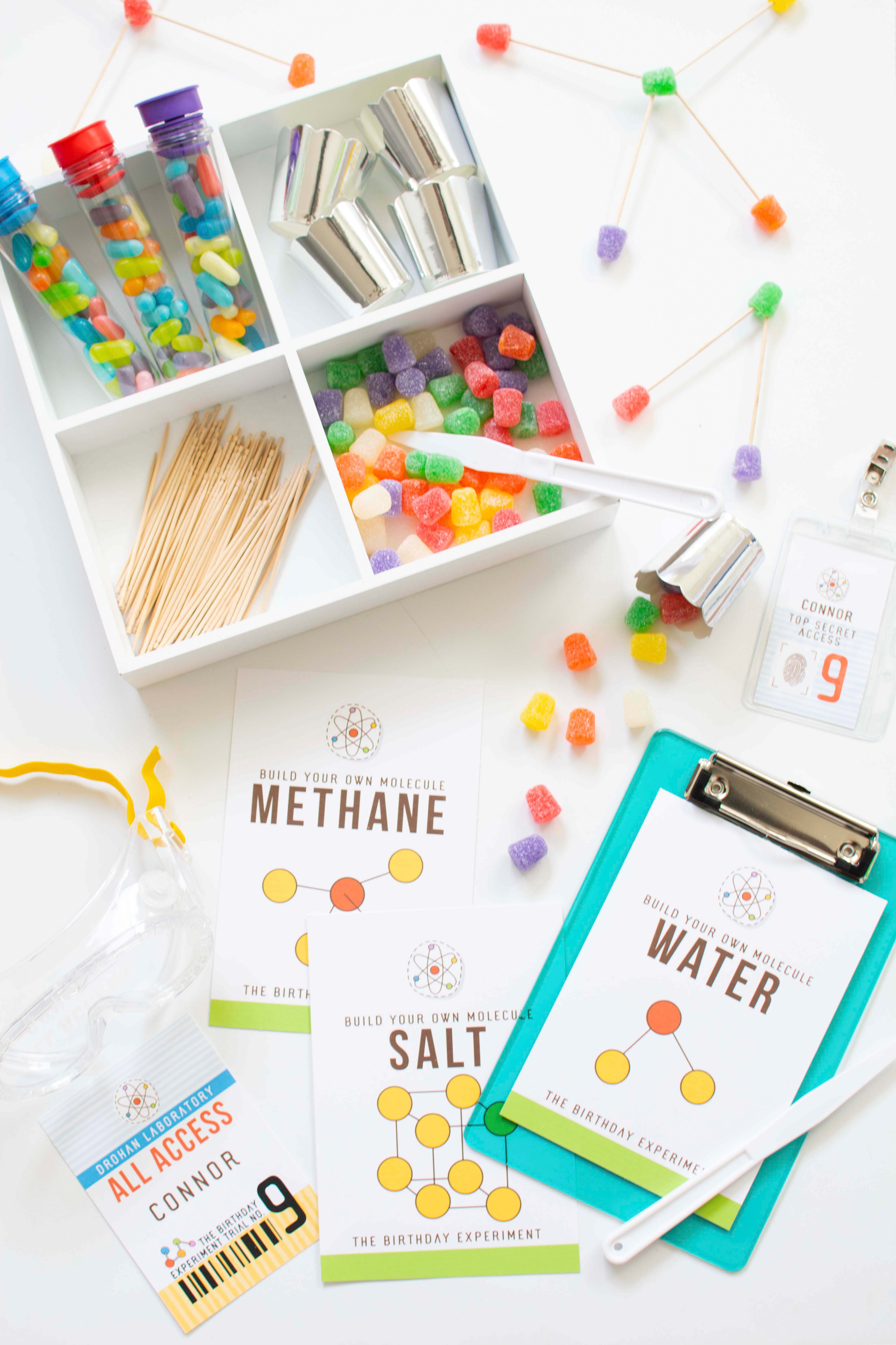 Science Party Ideas {Free Party Printables}
