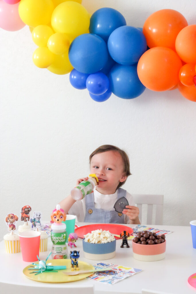 Paw Patrol Party Ideas