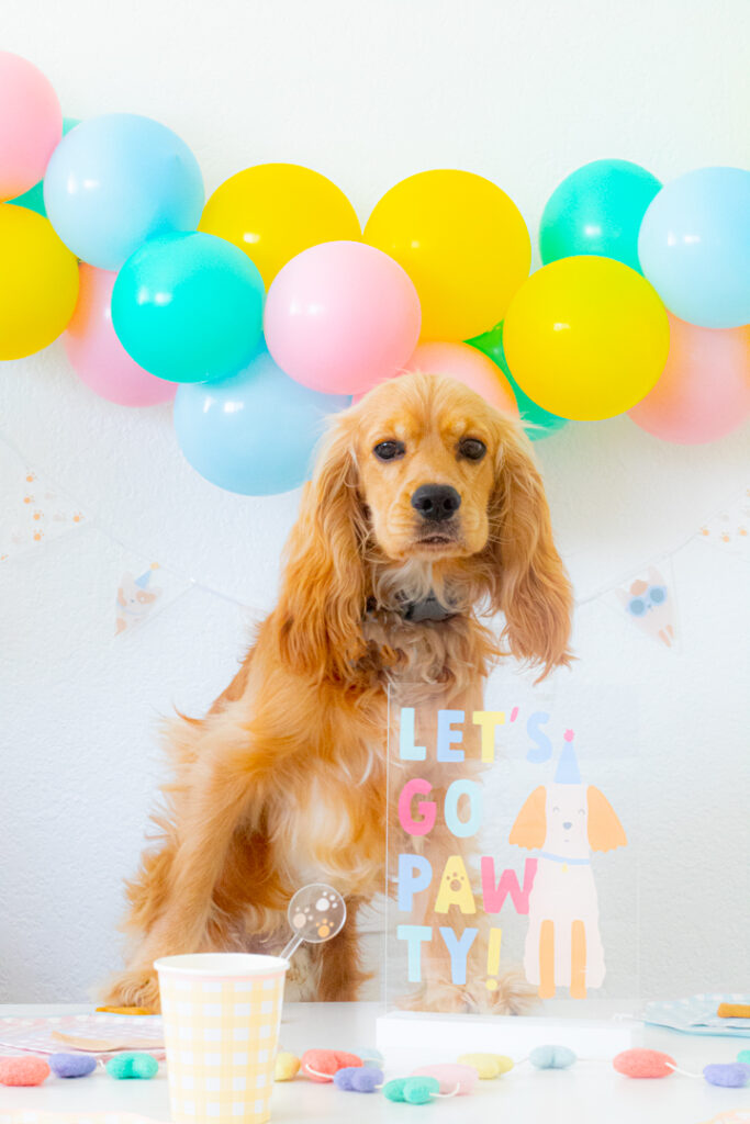Let's Go Pawty: Puppy Party Ideas