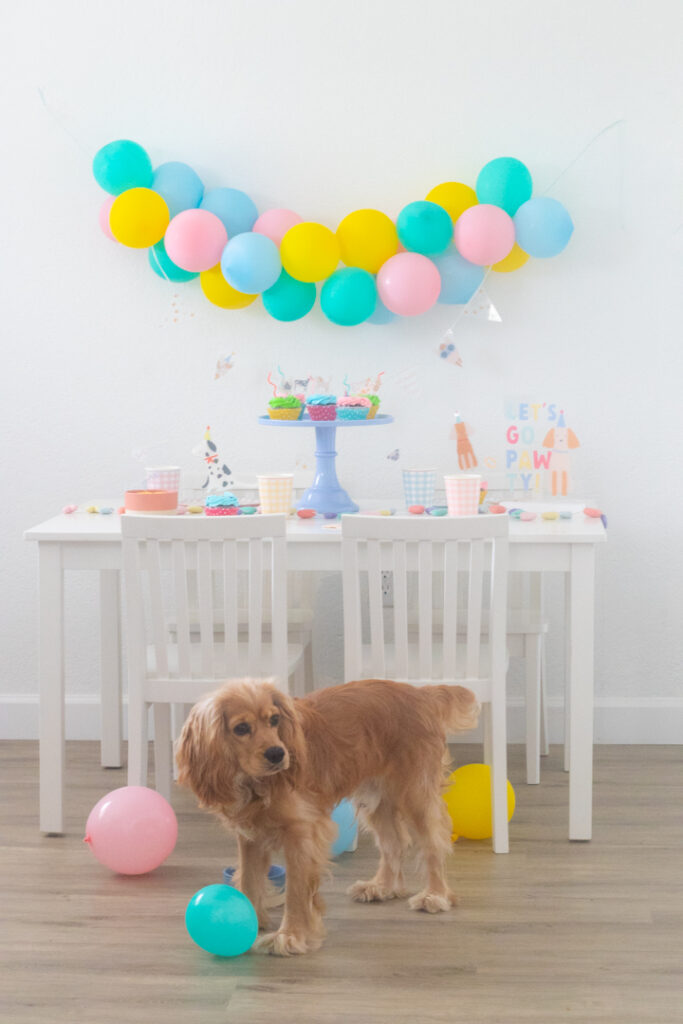 Let's Go Pawty: Puppy Party Ideas