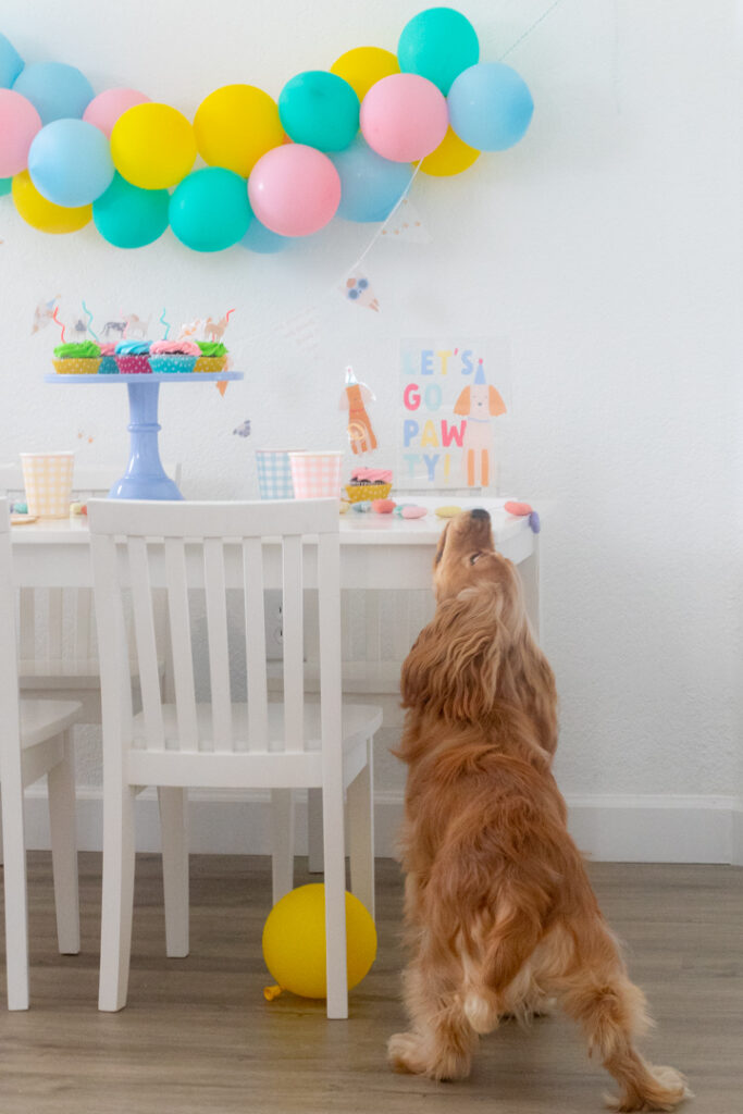 Let's Go Pawty: Puppy Party Ideas