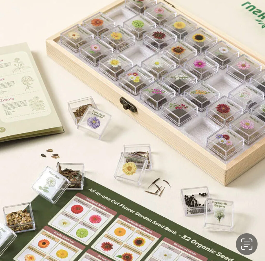 The Most Unique Valentine's Day Gift Ideas